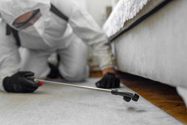 Professional Bed Bug Control technician working in Mathis, TX